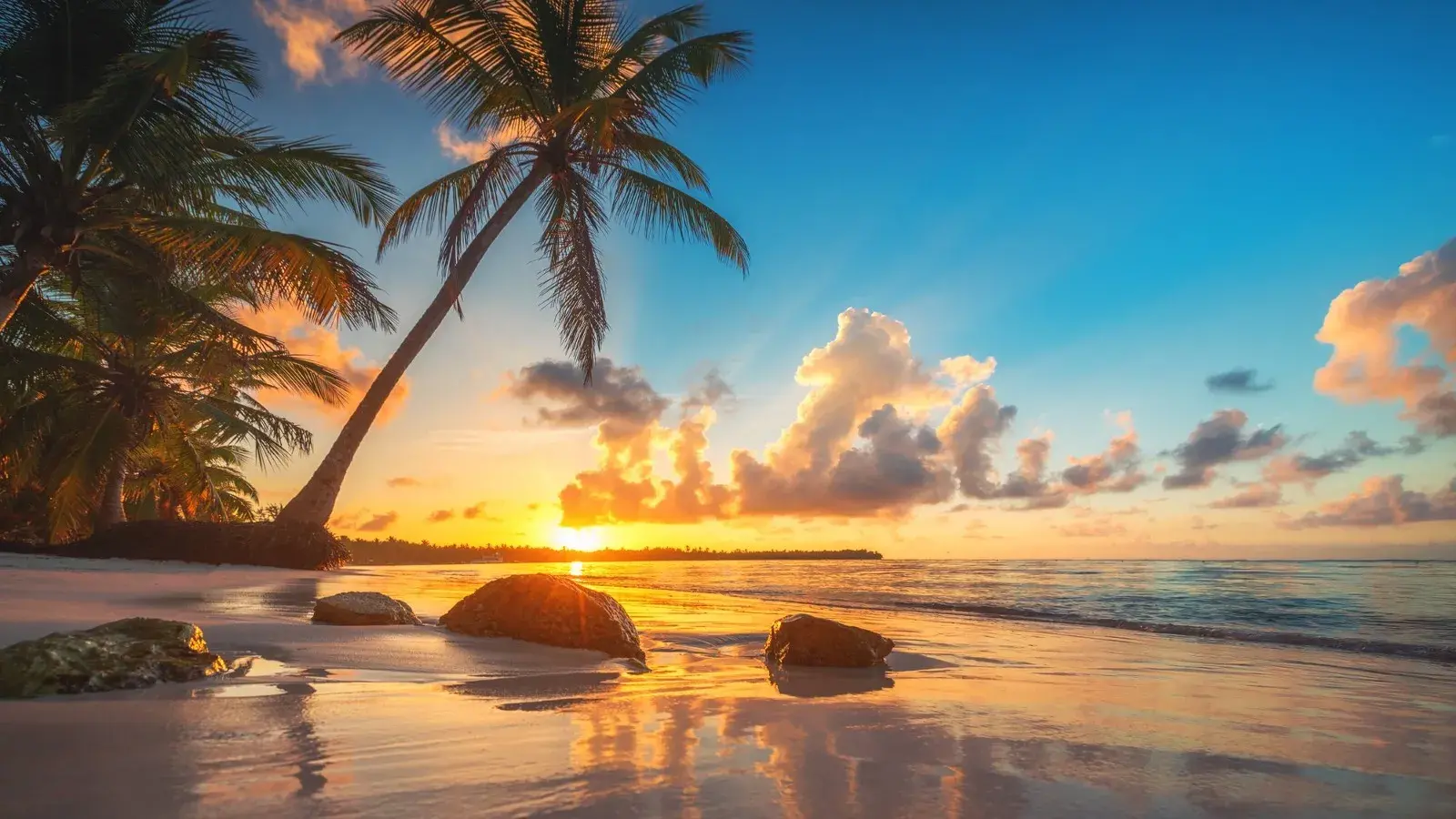 Viajes maragar ibague turismo, pasadias, transporte en ibagué, colombia