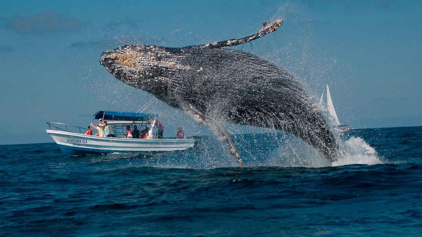 maragar travel, turismo, pasadias, transporte en ibagué, colombia