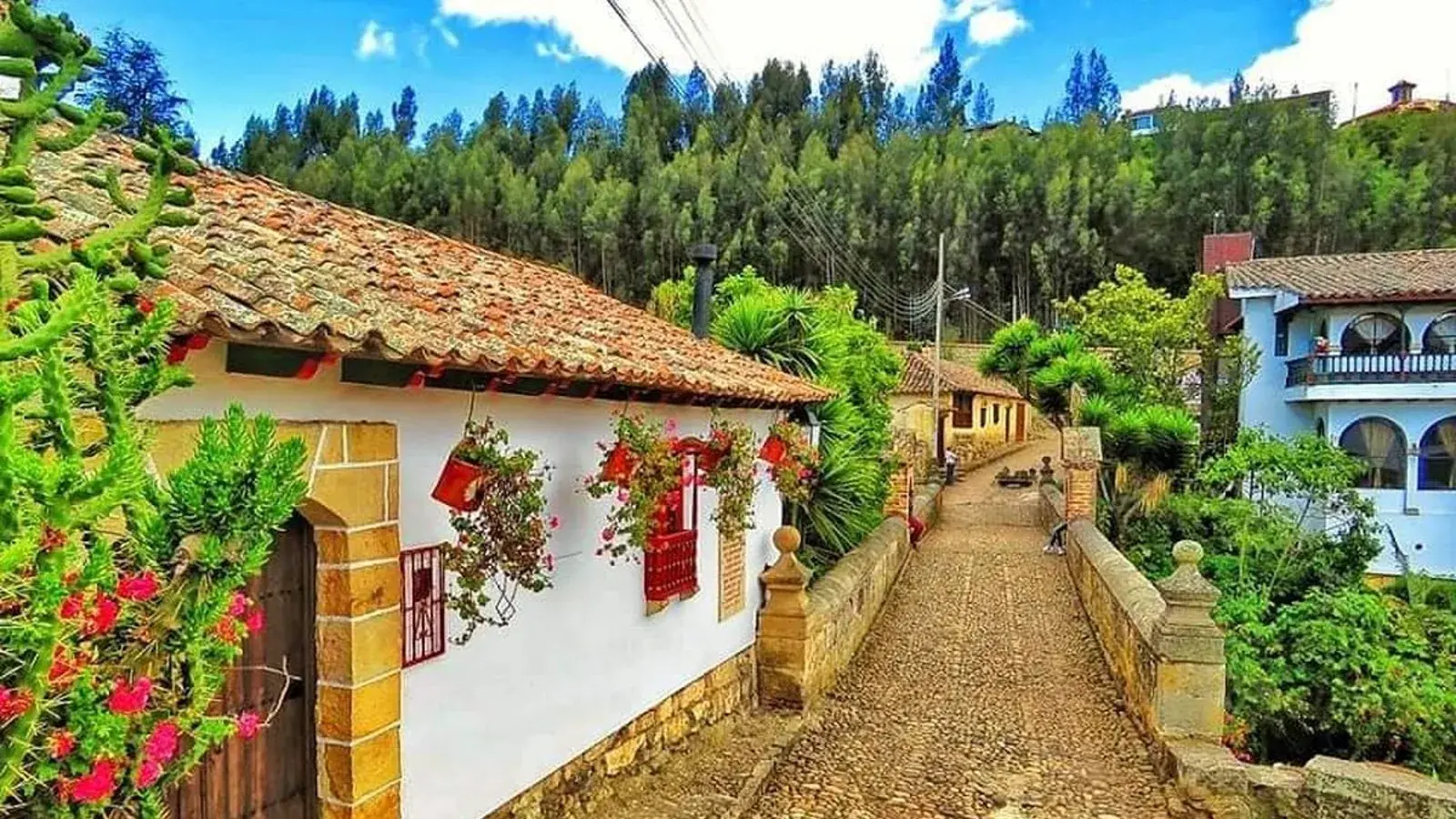 Viajes maragar ibague turismo, pasadias, transporte en ibagué, colombia