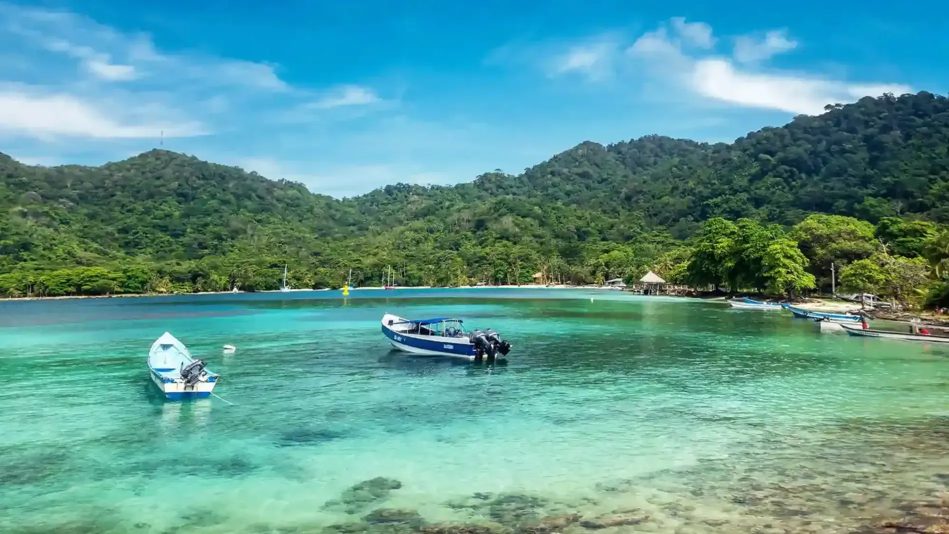 Viajes maragar ibague turismo, pasadias, transporte en ibagué, colombia