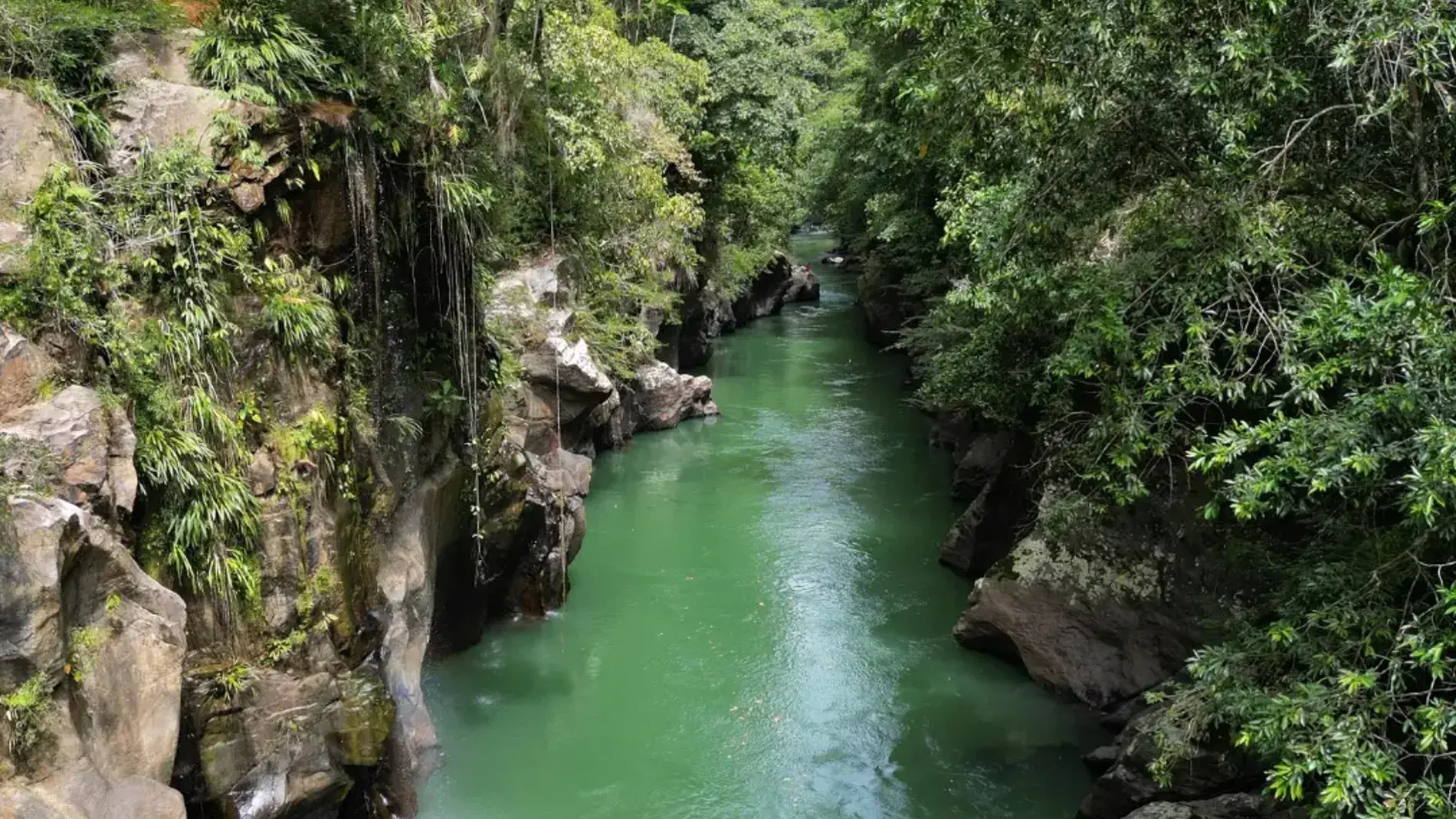 Viajes maragar ibague turismo, pasadias, transporte en ibagué, colombia