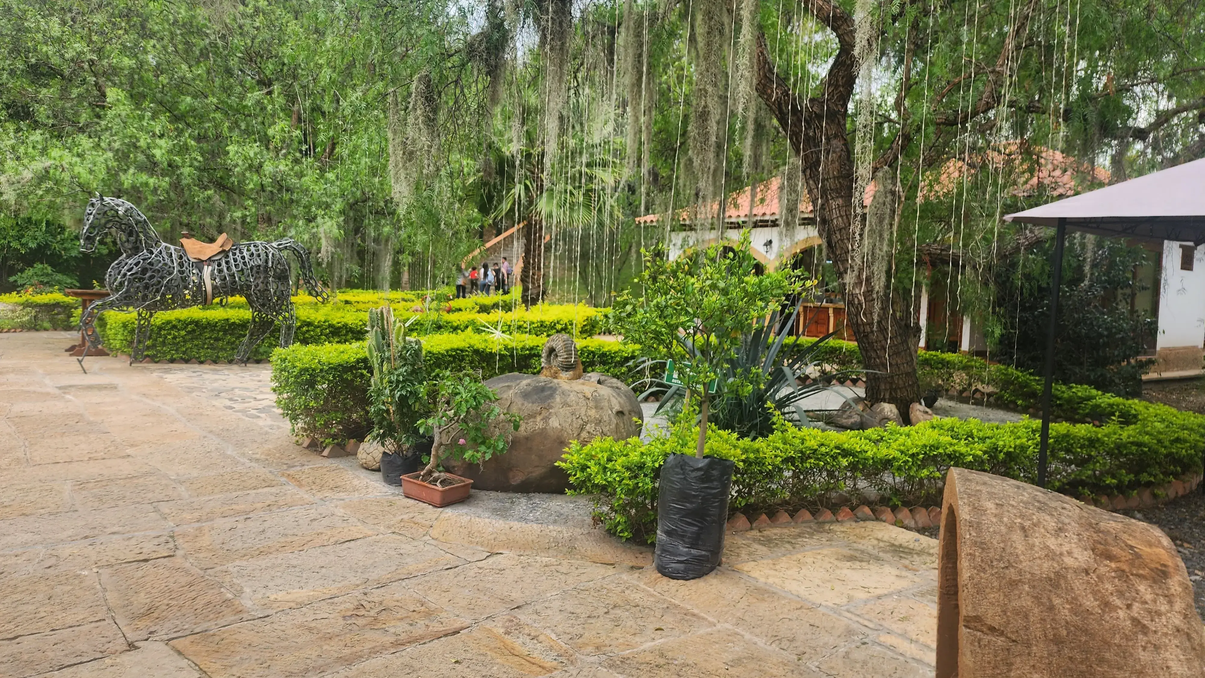 Viajes maragar ibague turismo, pasadias, transporte en ibagué, colombia