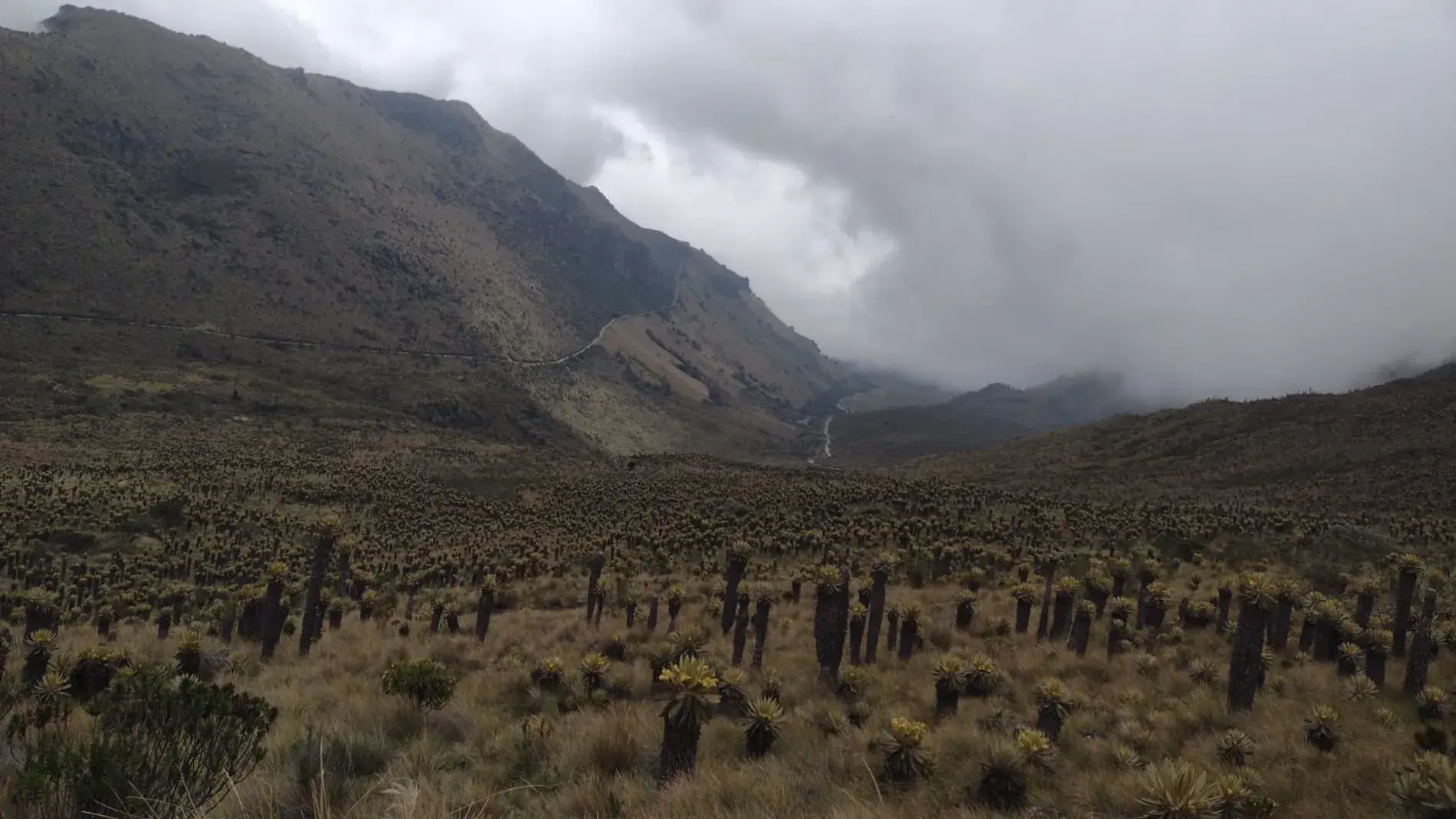 Maragar, turismo, pasadias, transporte en ibagué, colombia