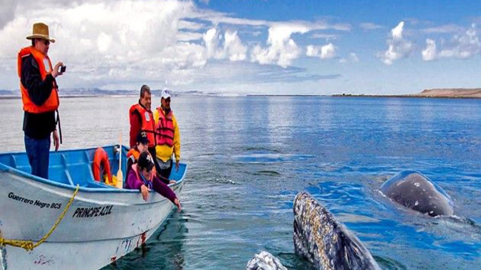 Viajes maragar ibague turismo, pasadias, transporte en ibagué, colombia