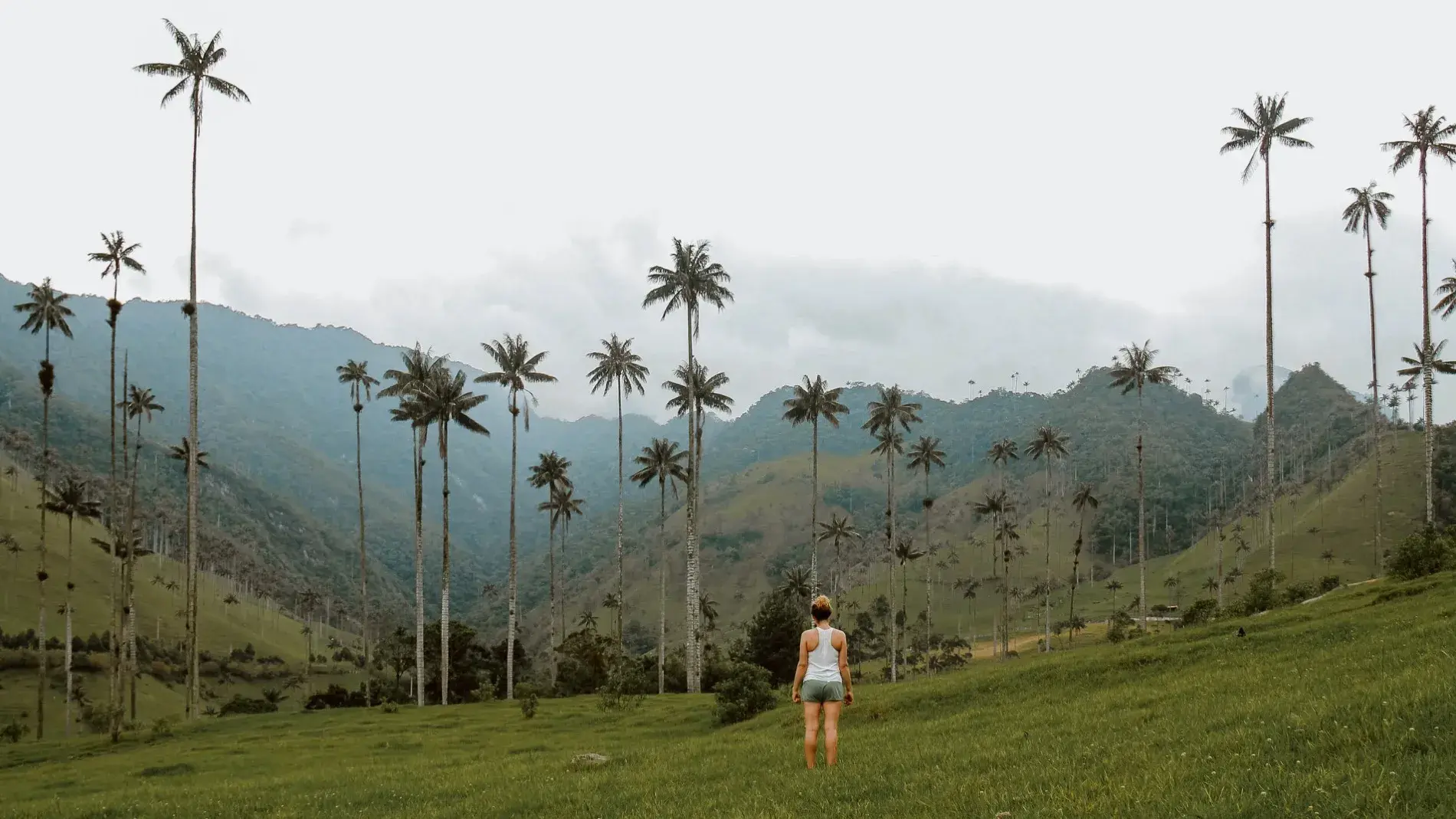 Viajes maragar ibague turismo, pasadias, transporte en ibagué, colombia