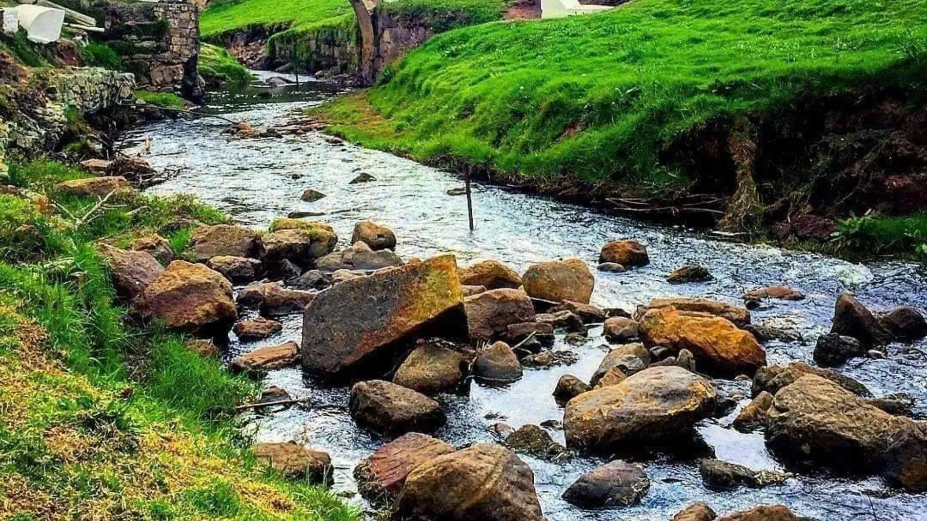 maragar travel, turismo, pasadias, transporte en ibagué, colombia