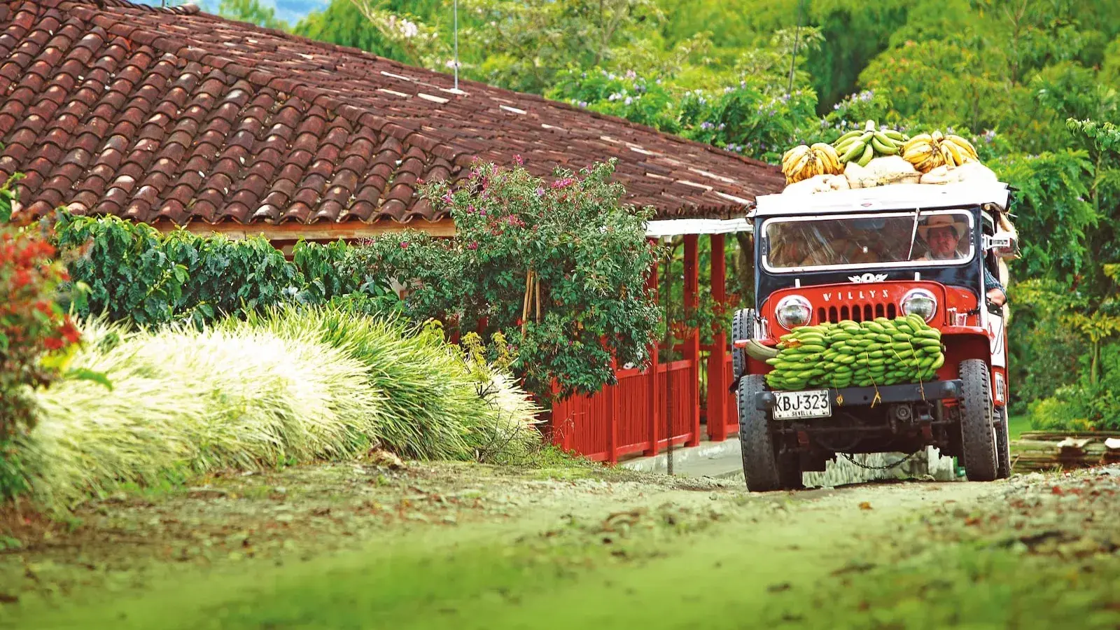 Viajes maragar ibague turismo, pasadias, transporte en ibagué, colombia